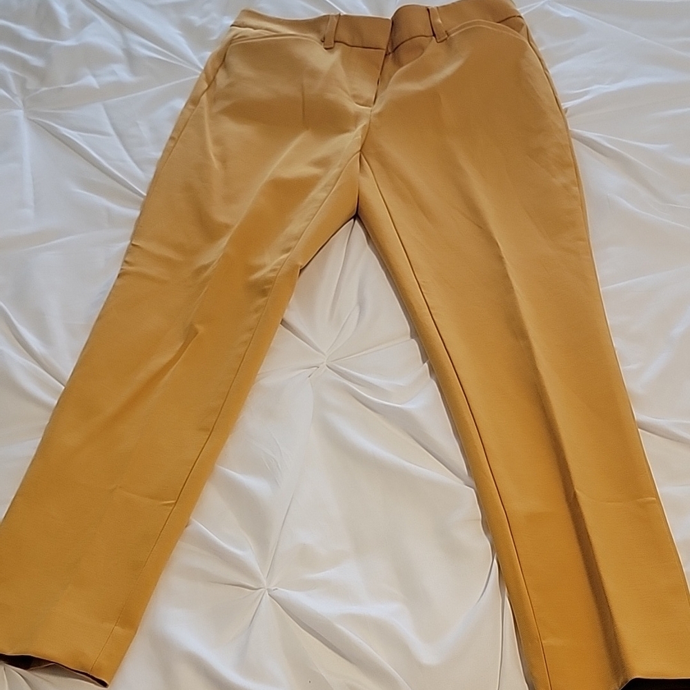 WHBM women's Mustard Pants